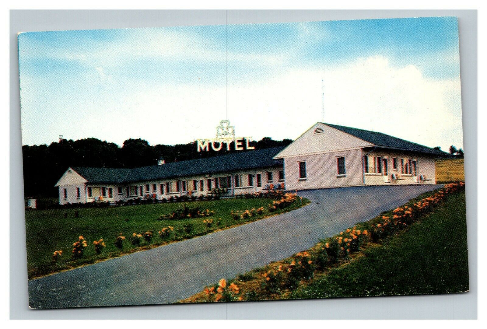Vintage 1960's Postcard Cloverleaf Motel Route 230 Harrisburg