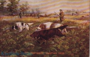 Postcard Dogs Hunting Partridge Shooting 5628