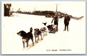 K44/ Canada RPPC Postcard c30s Temagami Ontario Sled Dog 520