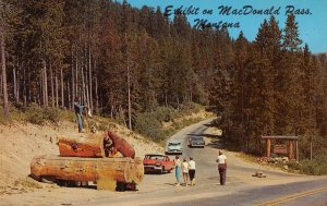 MacDonald Pass, Montana Roadside Highway Exhibit 1950s Cars Vintage Postcard