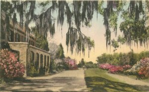 Charleston South Carolina Middleton Palace Gardens 1920s Postcard 21-11804