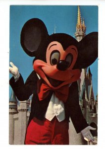 FL - Orlando. Walt Disney World, Mickey Mouse