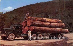 Douglas Fir Logs Oregon, USA Unused 