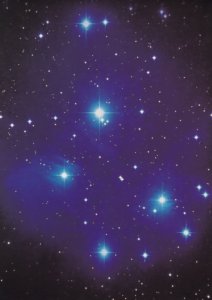 The Pleiades Star Cluster Armagh Irish Planetarium Astronomy Exhibit Postcard