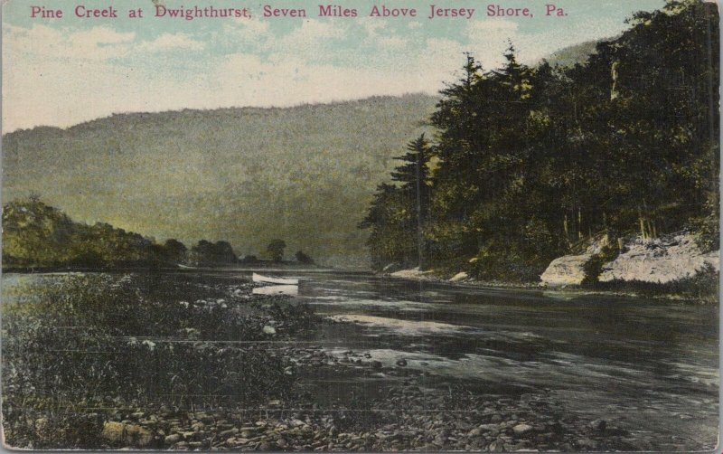 Postcard Pine Creek Dwighthurst Seven Miles Above Jersey Shore PA