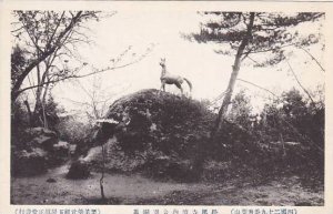 Japan Scene Showing Horse Monument