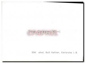 Modern Postcard Titisee