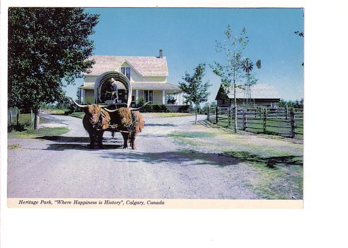 Oxen Pulling Covered Wagon, Heritage Park, Calgary, Alberta,