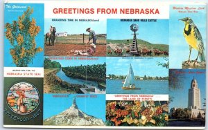 M-52031 Greetings from Nebraska Beef State Cornhusker State USA