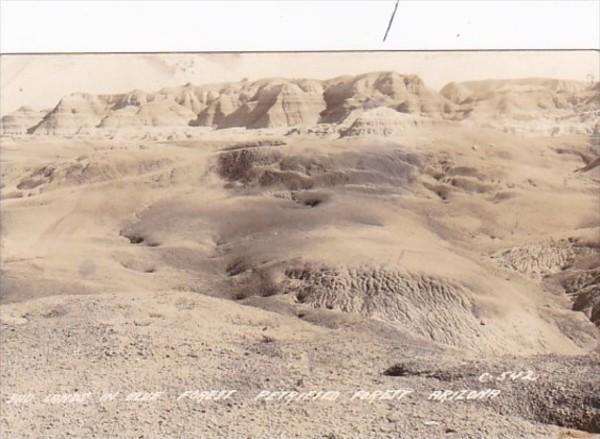 Arizona Bad Lands In Blue Forest Petrified Forest Real Photo
