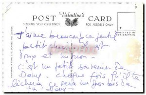 Old Postcard Dog Dogs A playful pup