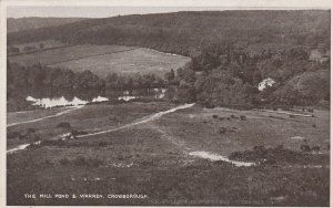 CROWBOROUGH, THE MILL POND & WARREN, Sussex - Vintage POSTCARD