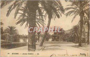 Postcard Old Hyeres Avenue Gedillot