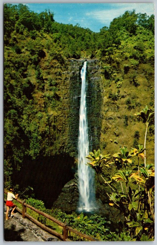 Hilo Hawaii 1960s Postcard Akaka Falls Waterfall