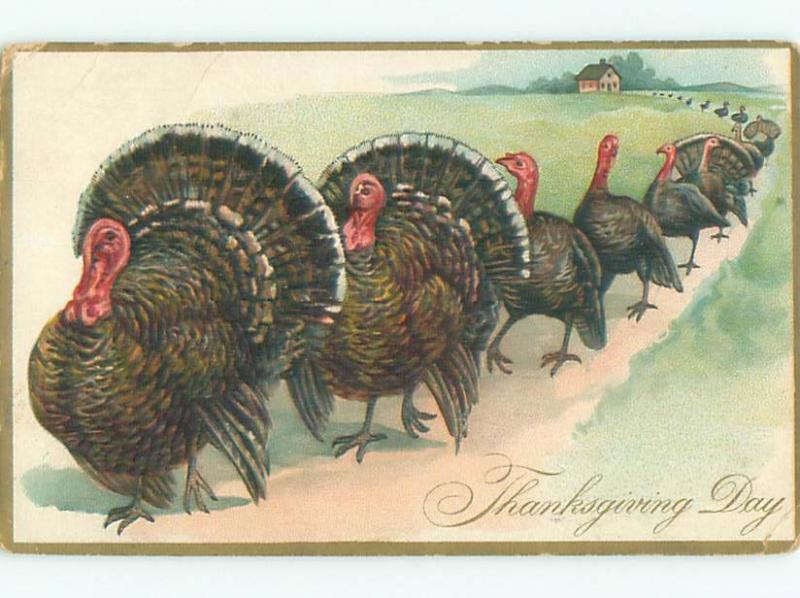 Divided-Back THANKSGIVING SCENE Great Postcard AA0441