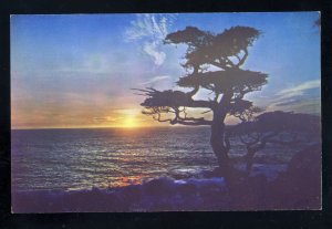 Monterey, California/CA Postcard, Sunset On Monterey Coast