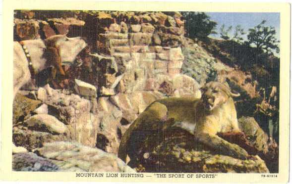 Linen of Mountain Lion Hunting - Sport of Sports