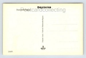 RPPC Dubrovnik Raguse Croatia Panorama Real Photo Postcard