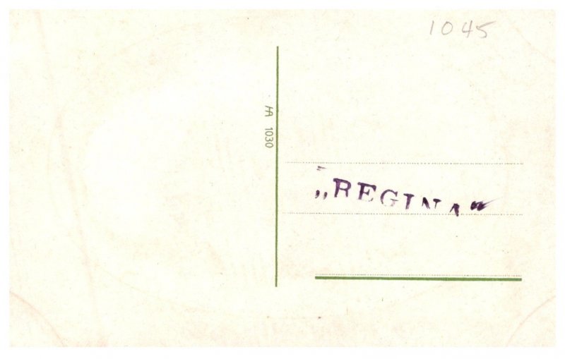 Germany   Coln  kaiserin Auguste Victoria Grosster Flussdampfer Europas