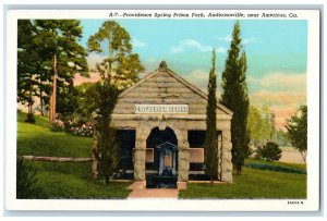 c1940 Providence Spring Prison Park Andersonville Americus Georgia GA postcard