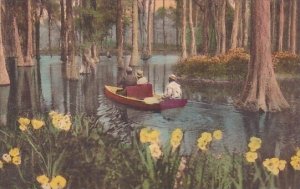 Cypress Gardens Charleston South Carolina