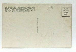 St Louis MO Elephant Training St Louis Zoo Elephants & Pianist Postcard