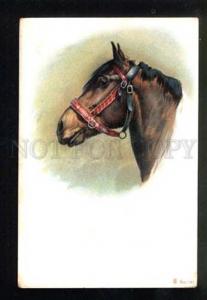 047325 Head of HORSE Belle vintage Color Litho