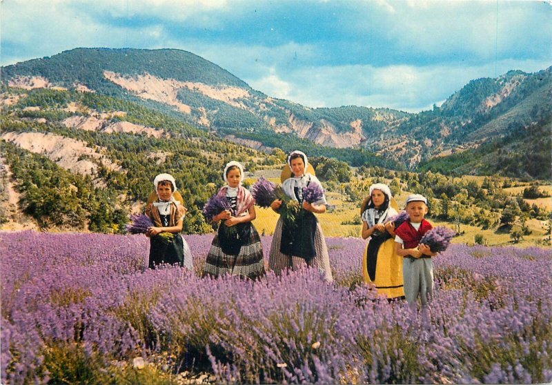 Postcard Ethnic rural costumes folklore French la Lavande