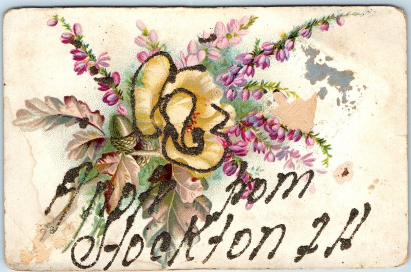 c1910s Hockton, ILL Greetings Town Postcard Mica Glitter Arrival Welcome A73