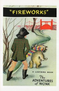 Fireworks The Adventures Of Wonk Ladybird 1961 Book Postcard
