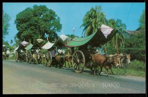 Bullock Carts, Malacca