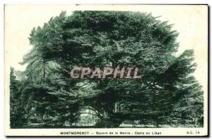 Old Postcard Montmorency Square De La Mairie Cedre Du Liban