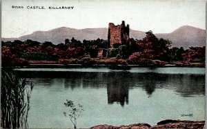 c1915 KILLARNEY IRELAND ROSS CASTLE VALENTINE'S VALESQUE POSTCARD 34-283