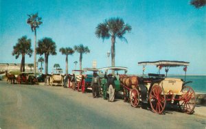 United States Florida St. Augustine horse drawn carriages