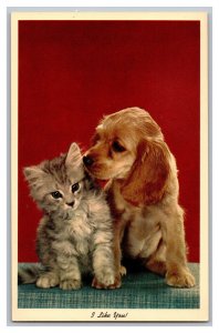 Postcard I Like You! Cat And Dog