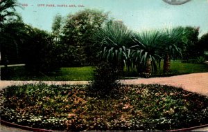 California Santa Ana View In City Park 1910