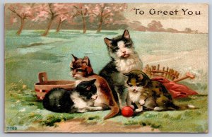 Mother Cat w/Three Kittens In Field~Baskets~Play w/Little Red Ball~Emboss~c1910