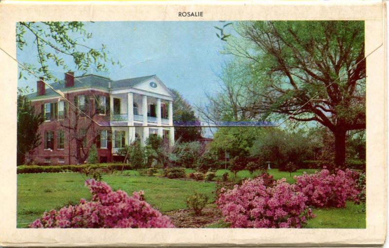 Folder - Natchez, MS -   (12 Views + Covers)