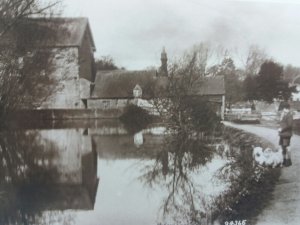 Young Boy with Dogs by Pond The Old Mill Horsham Sussex Vtg RP Postcard c1920s