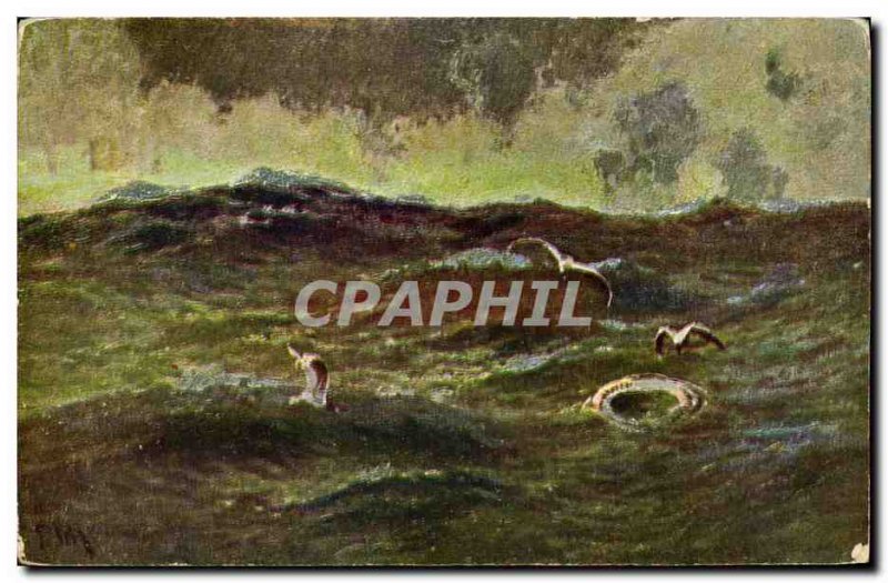 Old Postcard Seagulls in the sea