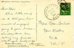 Flowers -  Alpine Flowers                             (Thor & Gyger #3087)