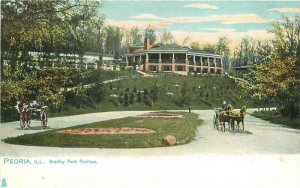Illinois Peoria Bradley Park Pavilion Tuck #2219 Postcard 22-7780