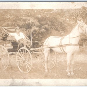 c1900s Cool Man White Horse Drawn Carriage RPPC Whip Real Photo Neckerchief A135