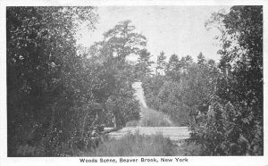 Beaver Brook New York Woods Scene, B/W Photo Print Vintage Postcard U10669