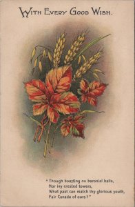 Greetings Postcard - Canada, Canadian Friend - With Every Good Wish Ref.RS30704