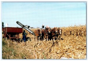 c1960 Harvest Time Local Amish Community Daviess Farm County Indiana IN Postcard