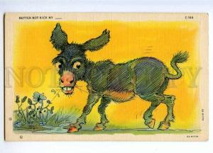 189381 Funny DONKEY Vintage COMIC Colorful postcard