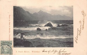 A FRESH BREEZE WAKATIPU NEW ZEALAND TO NEW YORK USA POSTCARD EXCHANGE 1903