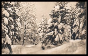 Harz in Winter,Germany BIN
