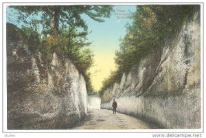 Road Mt.Langton, Bermuda, 00-10s